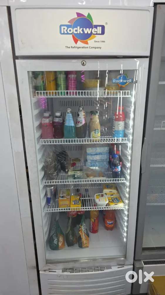 Rockwell visi cooler single door capacity 400 litrs