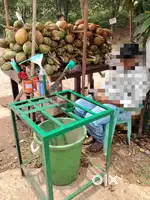 Coconut menhine