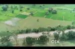 Commercial plot available for rent can also use as farm house