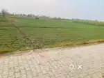 Residential GDA approved 6.75 bigha land available