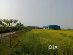 मै अपना सीड प्रोसेसिंग प्लांट बेचना चाहता हूं