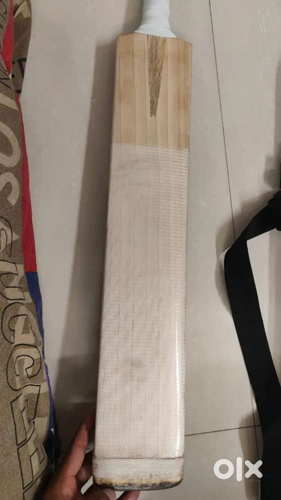 English Willow (Gray Nicolas) and Kashmir Willow (AS)