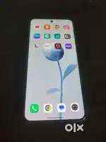 2 MONTH 5 DAYS, Vivo x200 Green colour