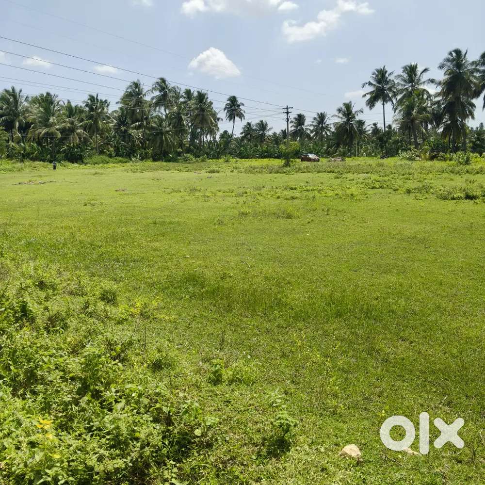 நந்தா கல்லூரி அருகில் 1.56 ஏக்கர் நிலம் பாசன வசதியுடன் விற்பனைக்கு