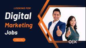 I am looking job for Digital Marketing