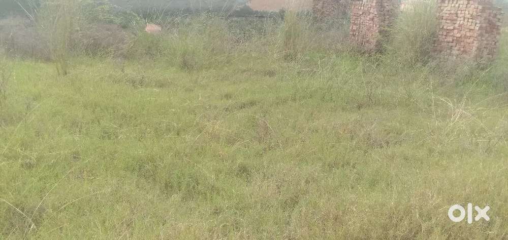 400 gaj plot outer bypass Ladhot road