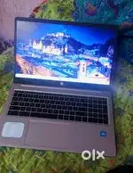 HP LAPTOP (cromebook)
