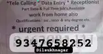 Tellicalling and data entry