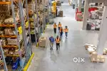 WALK-IN HIRING FOR CARGO COMPANY APPLY NOW