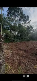 5 Mins From Yeroor Jn