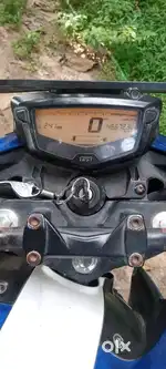 Apache RTR 4v dual disk