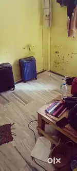 Need A roommate