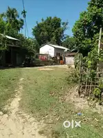 4 kata plot Land for Sale in Hailakandi Baburbari