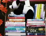22 books in good condition (150rs per book)