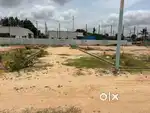 genesis homes