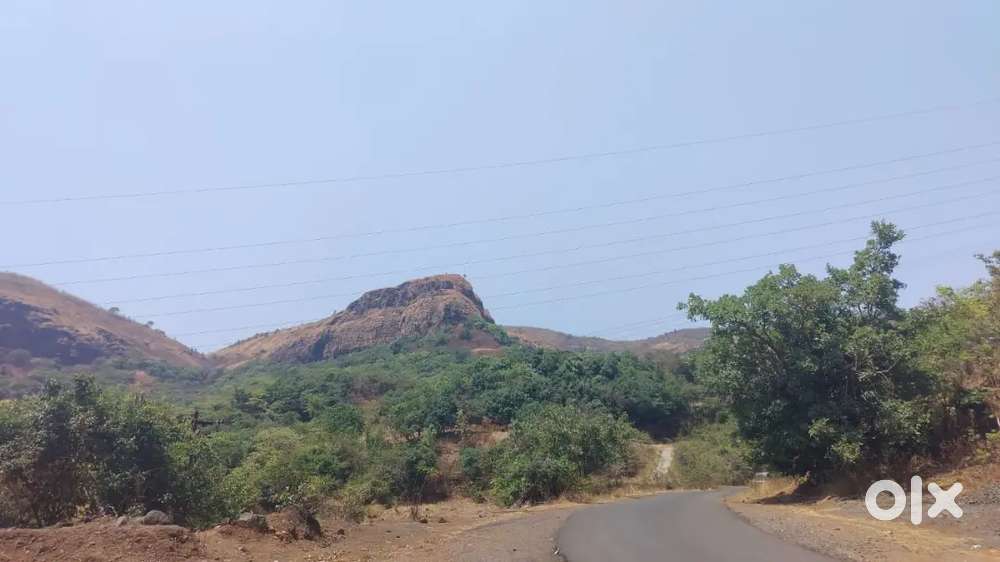 INVEST URGENT LAND MULSHI NIVE PIMPRI MH AGRICULTURAL LAND SALE 1 ACRE