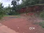 15 cent plot for sale in thottada