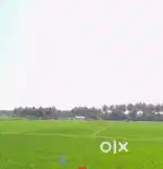 Agriculture land / agricultural land