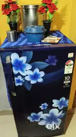 Blue fridge