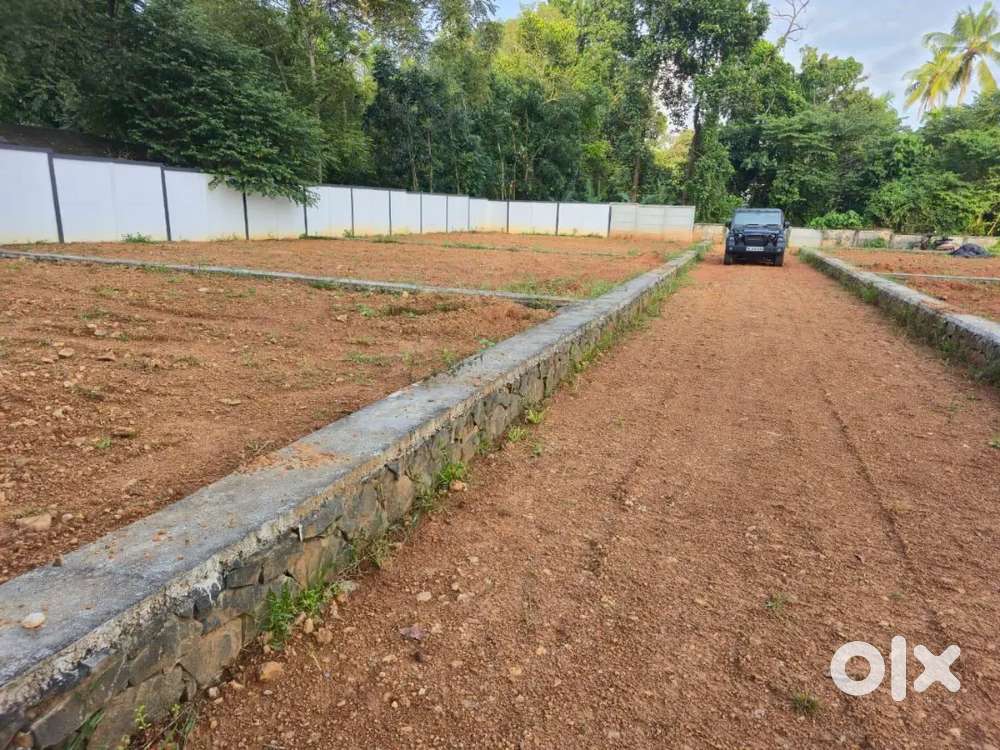 Angamaly - Puliyanam 5 Cent, 7Cent, 10Cent, Plots Available