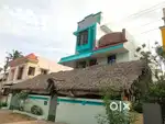 Individual Single Bachelor Room in Second Floor for Rent