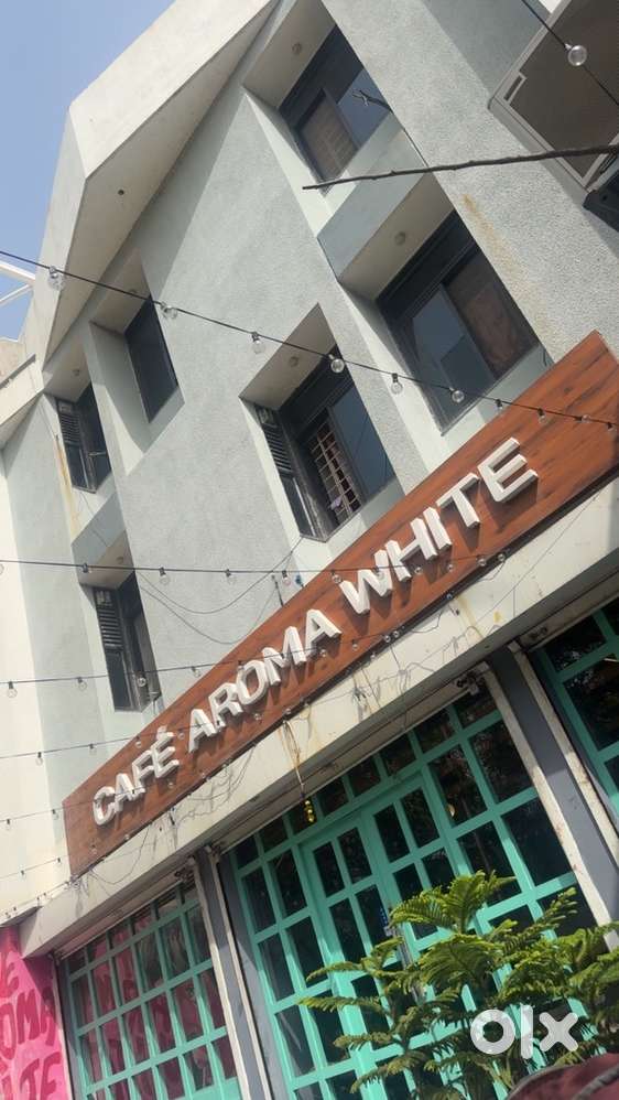 Barista boy for coffee, conti chef for food,manager for cafe