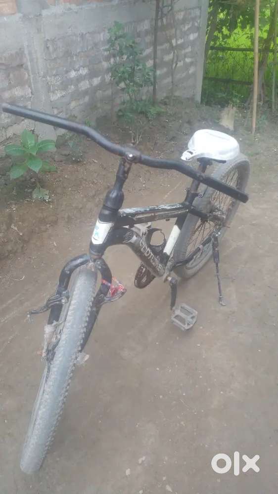 Rootline cycle