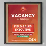 Sales executive