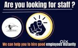 job needed and staff wanted companys can contact me