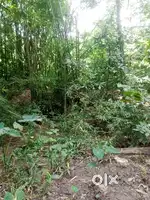 Land sale 6 Gonda .Per Gonda 1.3Lakh