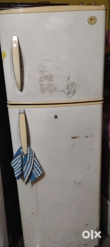 LG 310L Double Door fridge