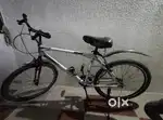 Gang Sport Bicycle