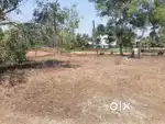 46 Cent Plot for Sale in Payyannur, Kannur