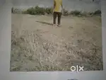 not to sale for dealer