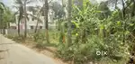 വീടു വയ്ക്കാൻ അനുയോജ്യമായ 15+ സെൻ്റ് വസ്തു