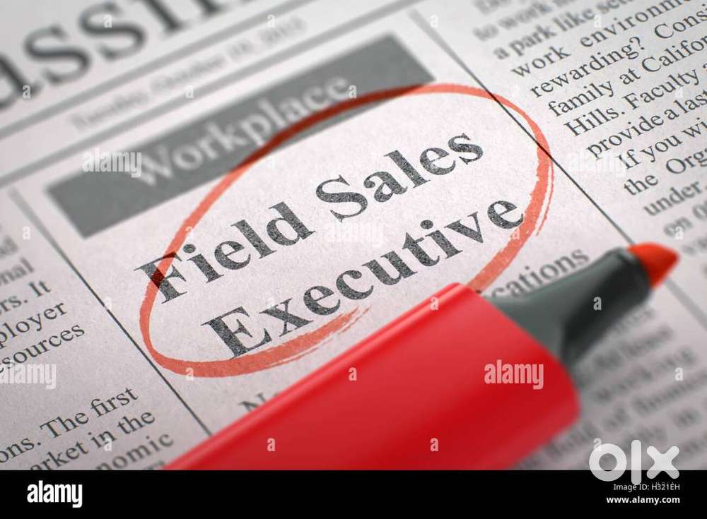 Sales Executives