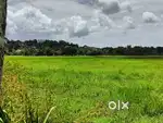 One acre unused agriculture land with road access for sale in Kochi