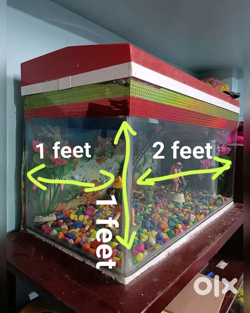 Aquarium and all accessories good condition Sell low price like new.