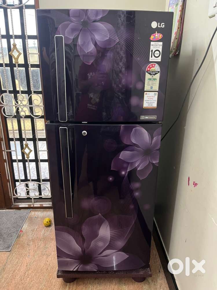 LG Double Door Smart Inverter Fridge - 260 ltrs