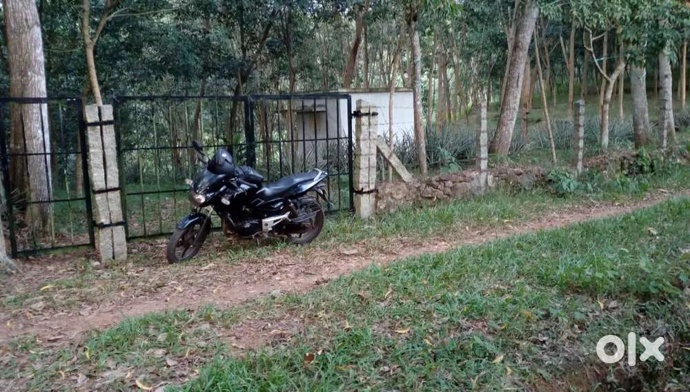 85 cent Rubber plot  Rs 60,000 per cent (negotiatiable)- Lorry site