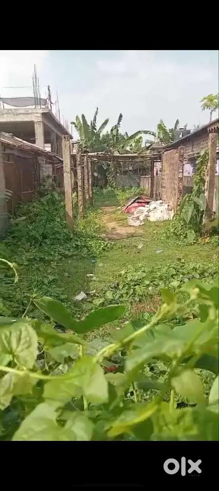 Money problam amr kakur jaiga