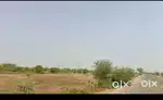 *कार्नर जमीन बिकाऊ ( बेनाडा )* 
14 बीघा 
कार्नर की जमीन