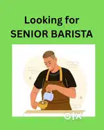 SENIOR BARISTA