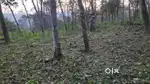 House Plot Sale in Poonjar , Residential Plot Sale Poonjar , Kottayam