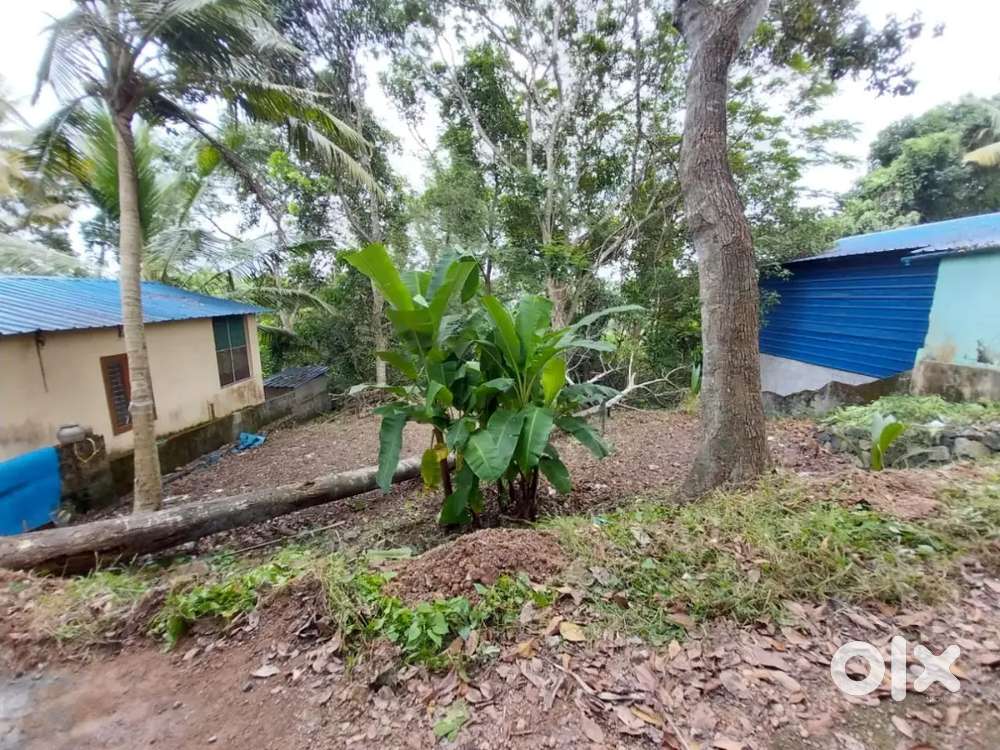 Plot for Sale at Manvila Trivandrum