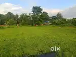 Beautyful place