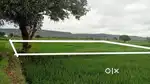 Agriculture land
