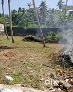 Kariavattom