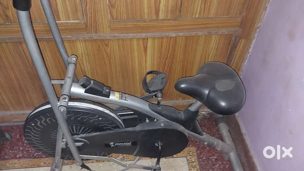 Cockatoo gym exercise bike