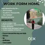 Earn from Home